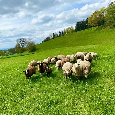 Apartmán Schwalbennest *