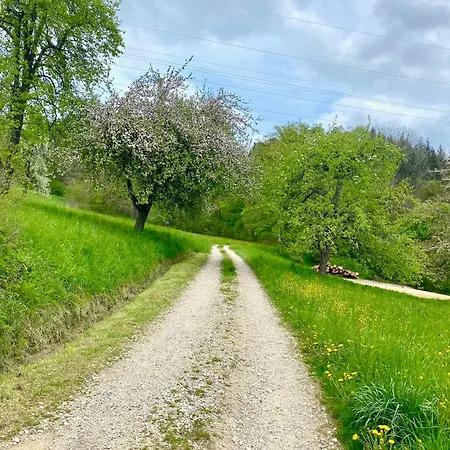 Schwalbennest *
