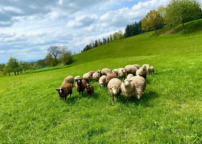 Appartement Schwalbennest *